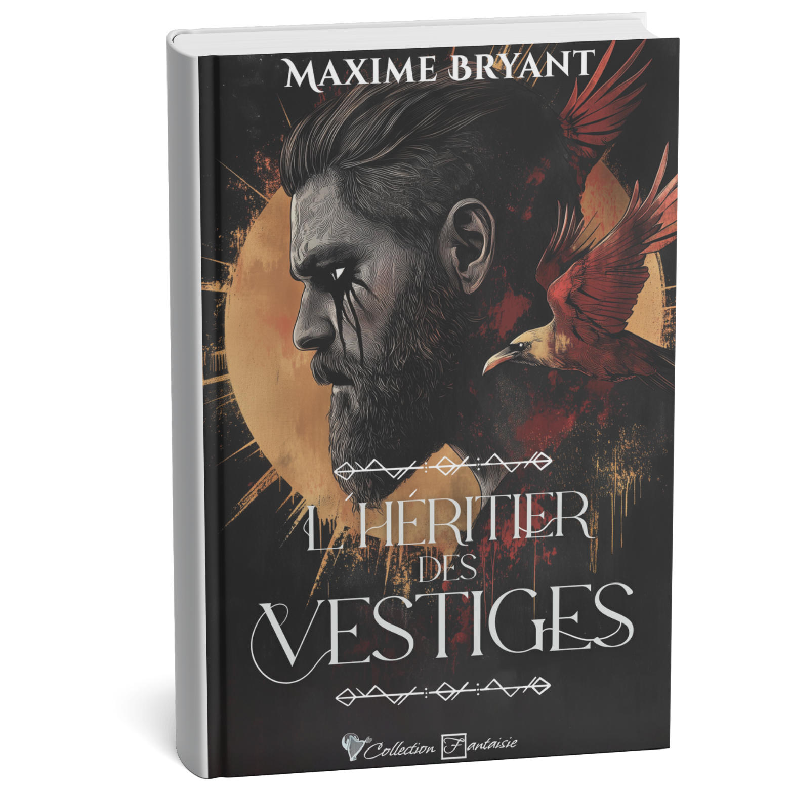 roman fantasy viking l héritier des vestiges